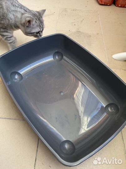 Туалет для кошек