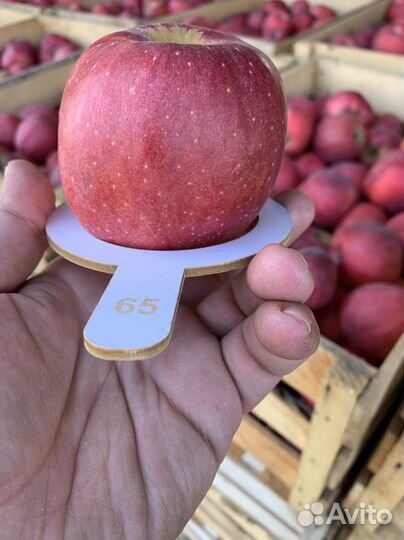 Яблоки флорина