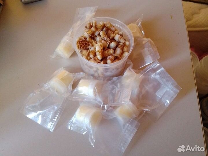 Маточное молочко оптом и в розницу, любое, своë