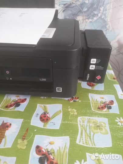 Epson l210