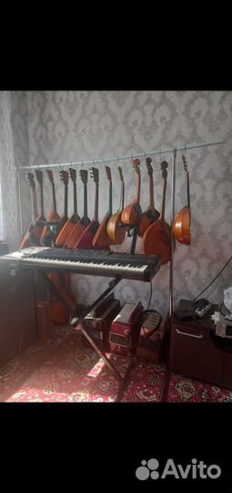 Балалайка бу