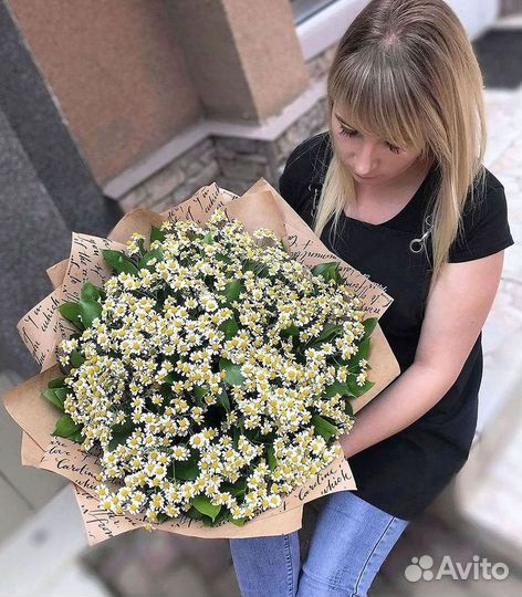 Букеты ромашек