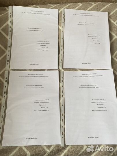 Написание конспектов/ презентация/ сессии