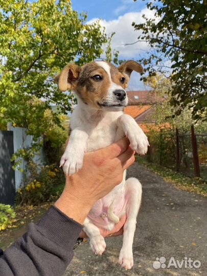 Том ищет дом