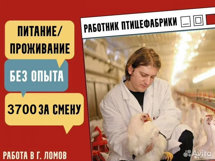 Подработка разнорабочий без опыта