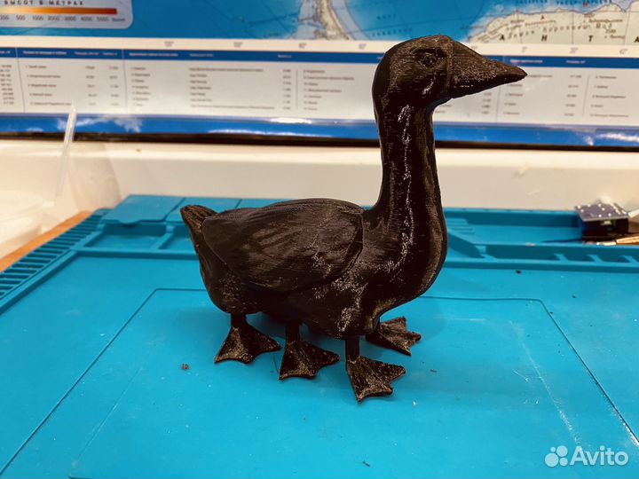 Гуси-ничник