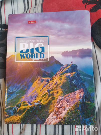 Тетради на кольцах