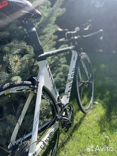 Canyon Speedmax CF 2011 (F10 )