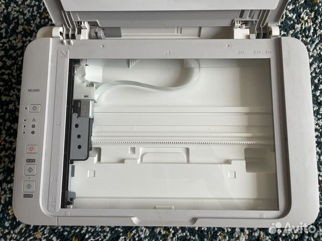 Мфу струйный canon MG2440