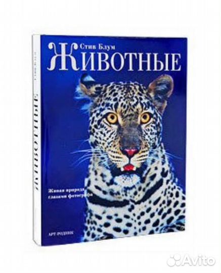 Книга Стив Блум животные