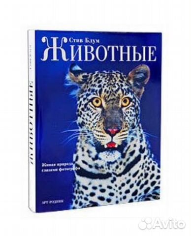 Книга Стив Блум животные