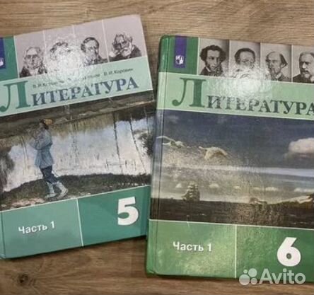 Книги по литературе Коровин и история