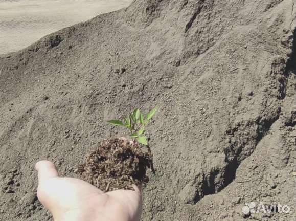 Премиальный перегной коровьего навоза в мешках 25