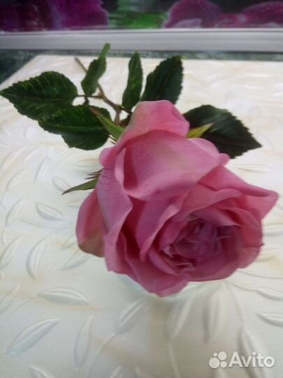 Искусственные цветы