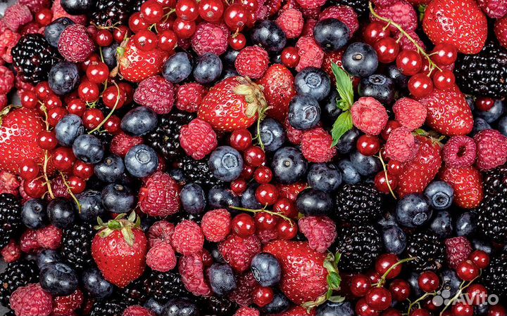 Вахта с проживание и питанием/Фасовщик/от 15 смен