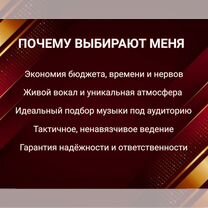 Певец на праздник с муз. аппаратурой, Ивантеевка