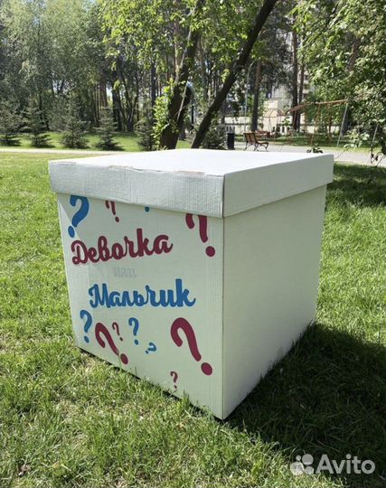 Коробка на гендер pati