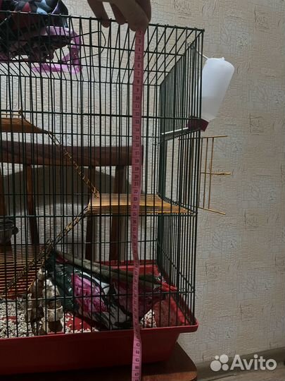 Клетка для грызунов большая
