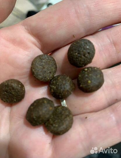 Корм для собак