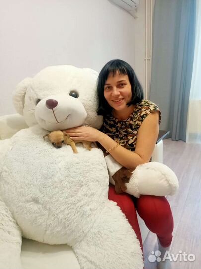 Уборка квартир,домов, мойка окон. Клининг