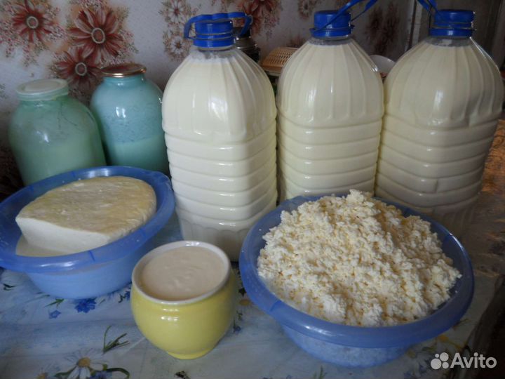 Молоко,сметана,творог,сыр