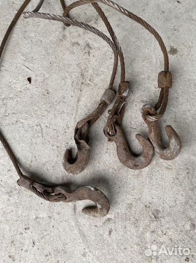 Чалка, Паук