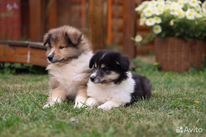 Красноярск