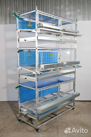 Клетки для кур, перепелов и кроликов