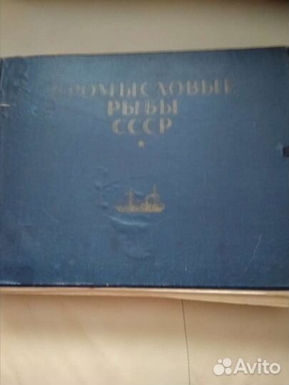 Промысловые рыбы ссср,атлас
