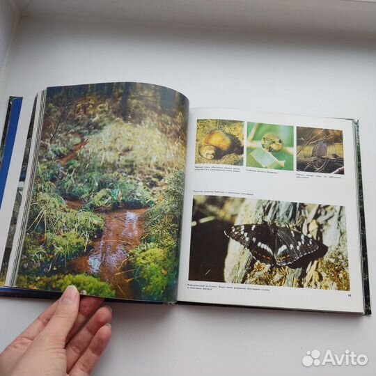 Книга альбом Заповедники Карелии 1989