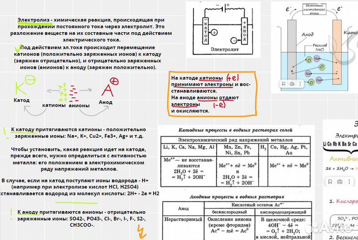 Репетитор по химии и биологии