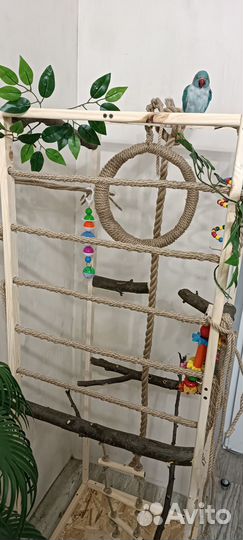 Игровая площадка для попугая