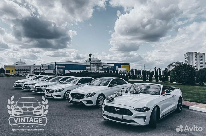 Прокат авто с водителем. Mercedes. Camry. Mustang