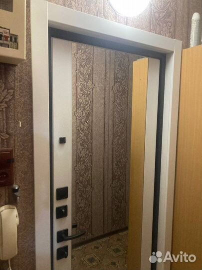 Входная металлическая дверь с зеркалом