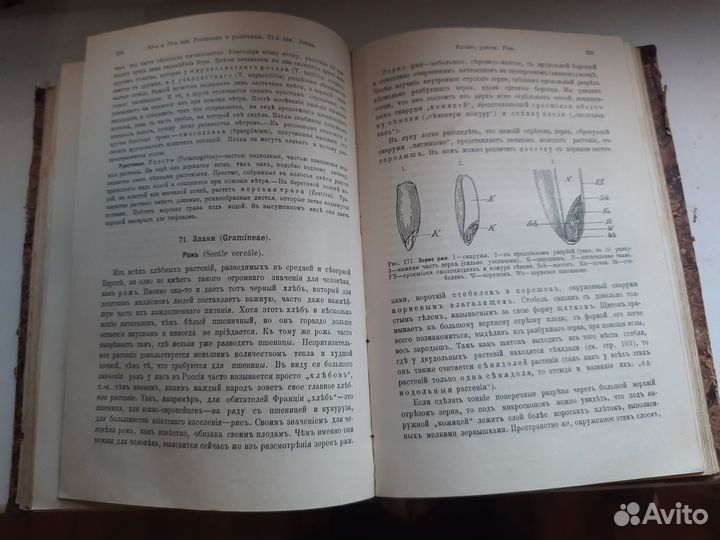 О.Шмейль.Очерчки из жизни растений.1909г. Редкость