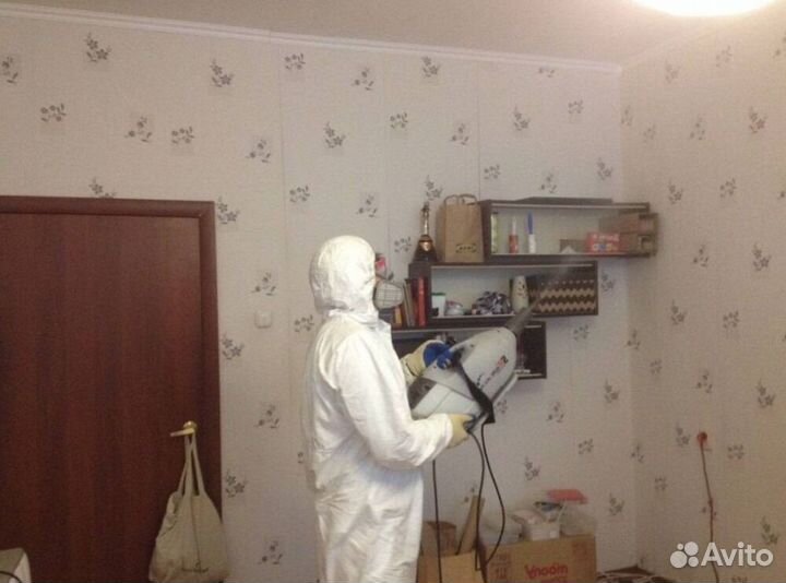 Средство для Уничтожения клопов, тараканов, крыс Дезинфекции