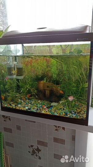 Аквариум