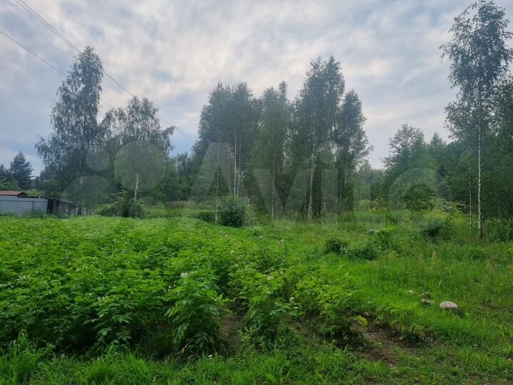 Участок 10 сот. (ИЖС)