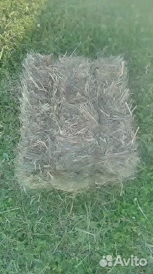 Сено в тюках