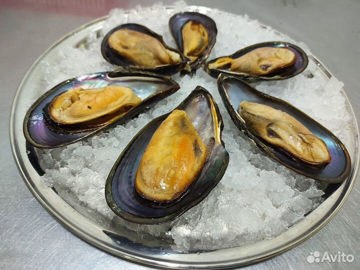 Мидия Грея для запекания