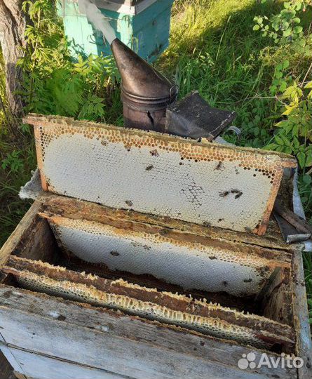 Сушь рамки для пчелиных ульев. Ульи. Кубы