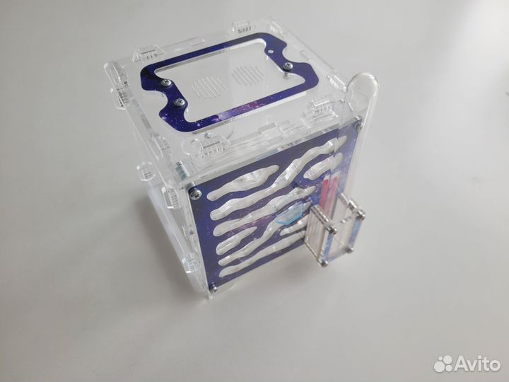 Формикарии, муравьиные фермы