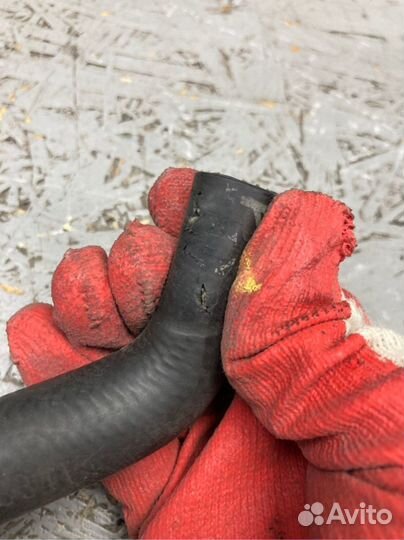 Патрубок охлаждения Audi Tt 8N AUQ 2003