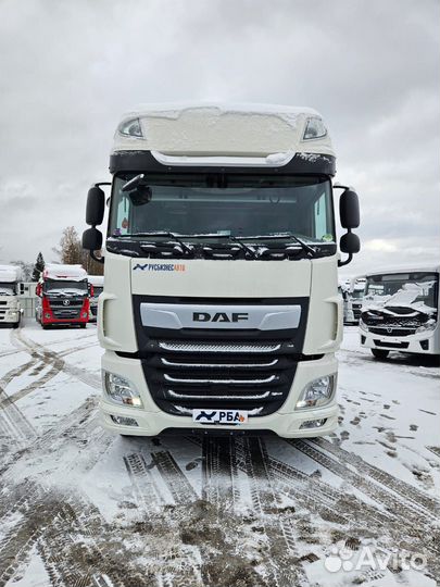 DAF XF 480 FT, 2021