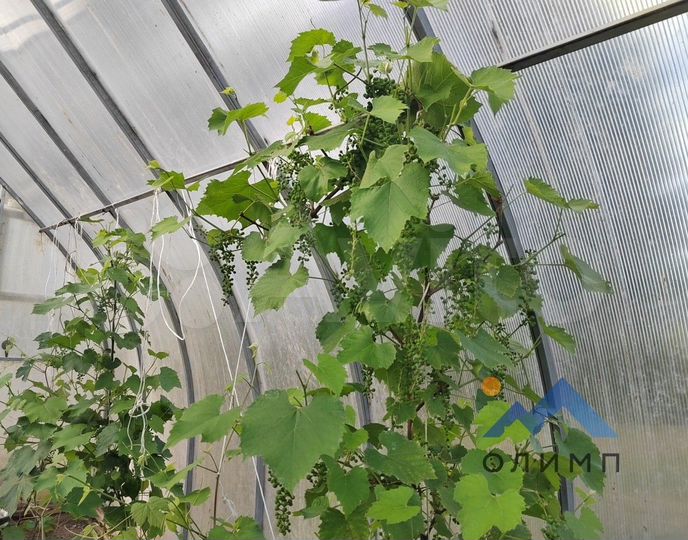 Дом 64 м² на участке 26 сот.