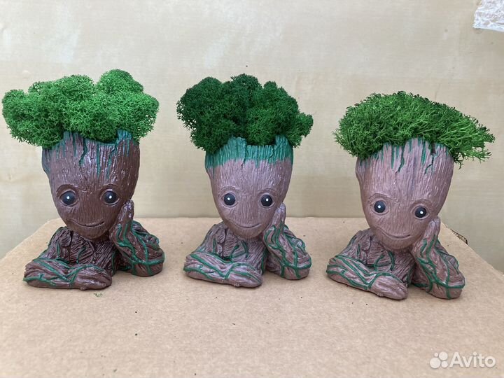 Кашпо Грут с мхом ягель