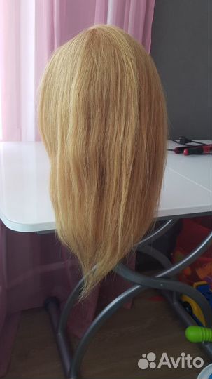 Учебная голова