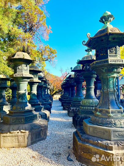 Токио Топ-Экскурсия Главное о северном Токио за 3