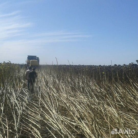 Жатка Unicorn Header, 2023