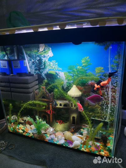 Аквариум